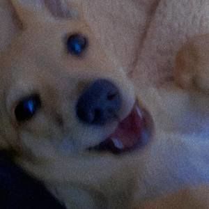 Meet your Posher, Veronica